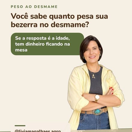 Idade não desmama bezerra. O peso desmama.