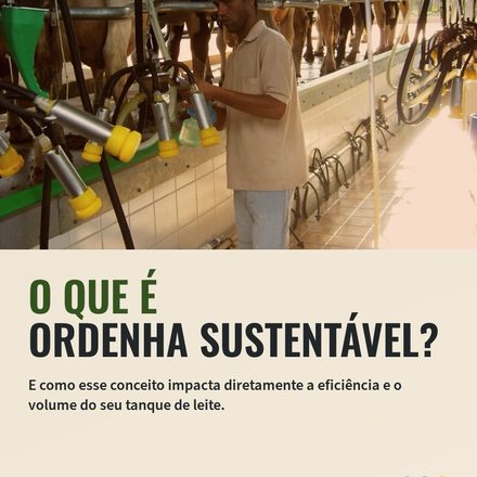 Ordenha sustentável não é sobre a máquina. É sobre quem conduz a vaca até ela.