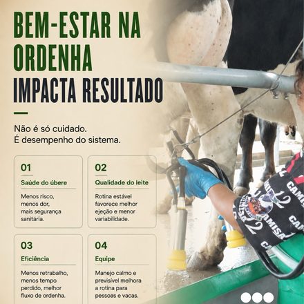 Na ordenha, o problema raramente começa no indicador.