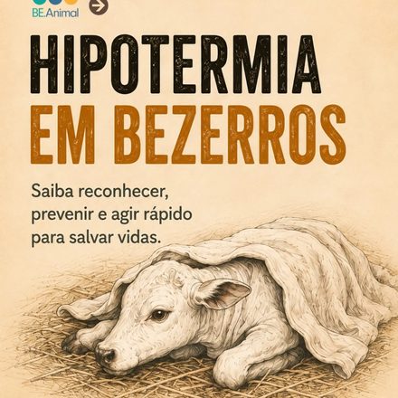 Hipotermia em bezerros pode evoluir rapidamente e reconhecer os sinais cedo faz toda a dif