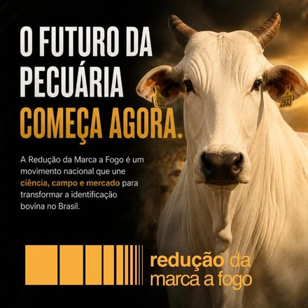 O futuro da pecuária também passa pela forma como identificamos os animais.