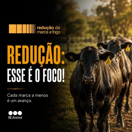 A proposta do projeto está no próprio nome: Redução da Marca a Fogo.